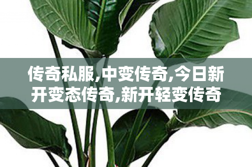 传奇私服,中变传奇,今日新开变态传奇,新开轻变传奇sf,今日新开变态传奇
