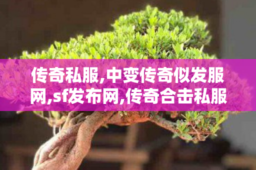 传奇私服,中变传奇似发服网,sf发布网,传奇合击私服发布网站,sf发布网