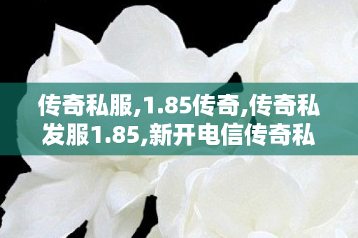 传奇私服,1.85传奇,传奇私发服1.85,新开电信传奇私服,传奇私发服1.85