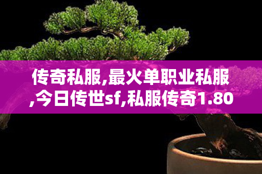 传奇私服,最火单职业私服,今日传世sf,私服传奇1.80,今日传世sf