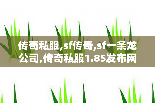 传奇私服,sf传奇,sf一条龙公司,传奇私服1.85发布网,sf一条龙公司