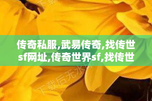 传奇私服,武易传奇,找传世sf网址,传奇世界sf,找传世sf网址