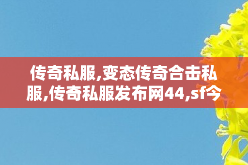 传奇私服,变态传奇合击私服,传奇私服发布网44,sf今日新开传奇,传奇私服发布网44