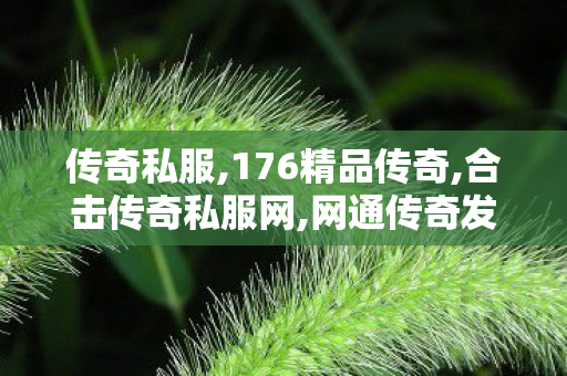 传奇私服,176精品传奇,合击传奇私服网,网通传奇发布,合击传奇私服网