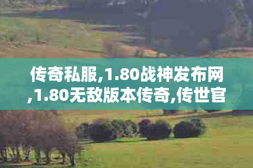 传奇私服,1.80战神发布网,1.80无敌版本传奇,传世官网,1.80无敌版本传奇