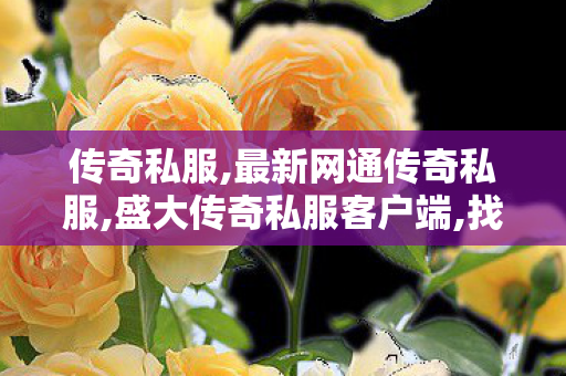 传奇私服,最新网通传奇私服,盛大传奇私服客户端,找传世迷失,盛大传奇私服客户端