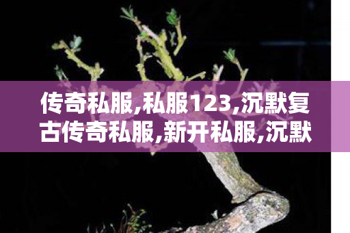 传奇私服,私服123,沉默复古传奇私服,新开私服,沉默复古传奇私服