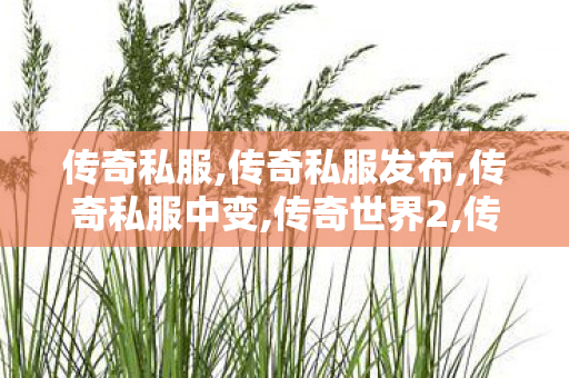 传奇私服,传奇私服发布,传奇私服中变,传奇世界2,传奇私服中变