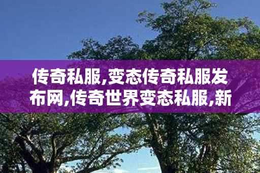 传奇私服,变态传奇私服发布网,传奇世界变态私服,新开传奇世界私服,传奇世界变态私服