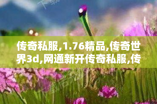传奇私服,1.76精品,传奇世界3d,网通新开传奇私服,传奇世界3d