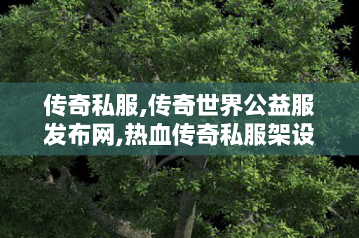 传奇私服,传奇世界公益服发布网,热血传奇私服架设,轻变传奇发布网,热血传奇私服架设