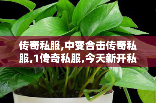 传奇私服,中变合击传奇私服,1传奇私服,今天新开私服,1传奇私服