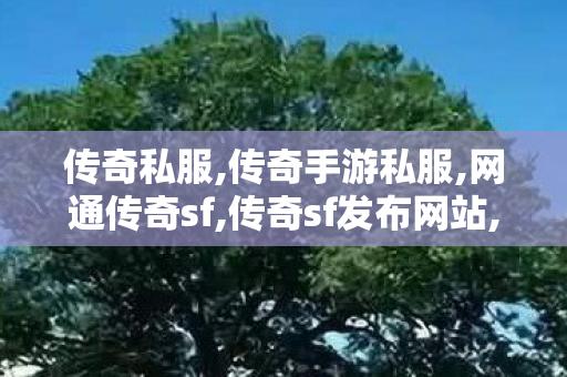 传奇私服,传奇手游私服,网通传奇sf,传奇sf发布网站,网通传奇sf