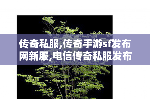传奇私服,传奇手游sf发布网新服,电信传奇私服发布网站,传奇世界新开服的发布网,电信传奇私服发布网站