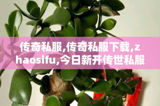 传奇私服,传奇私服下载,zhaosifu,今日新开传世私服,zhaosifu