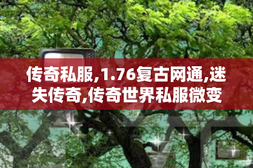 传奇私服,1.76复古网通,迷失传奇,传奇世界私服微变,迷失传奇