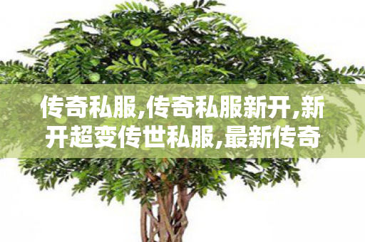 传奇私服,传奇私服新开,新开超变传世私服,最新传奇私服开服网,新开超变传世私服