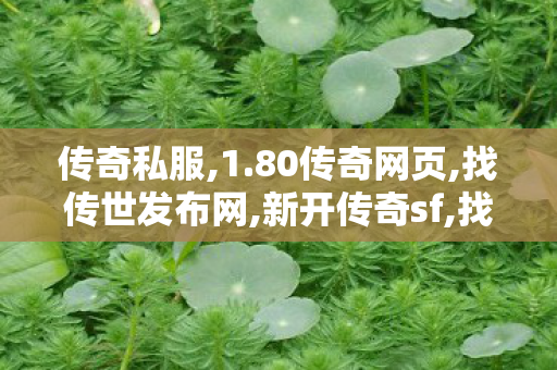 传奇私服,1.80传奇网页,找传世发布网,新开传奇sf,找传世发布网
