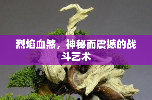 烈焰血煞，神秘而震撼的战斗艺术