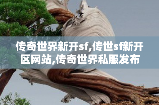 传奇世界新开sf,传世sf新开区网站,传奇世界私服发布网,传世sf新开区网站