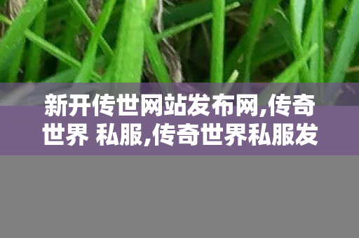 新开传世网站发布网,传奇世界 私服,传奇世界私服发布网站大全,传奇世界 私服
