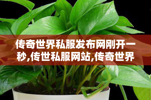 传奇世界私服发布网刚开一秒,传世私服网站,传奇世界私服发布网,传世私服网站
