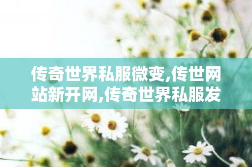 传奇世界私服微变,传世网站新开网,传奇世界私服发布网,传世网站新开网