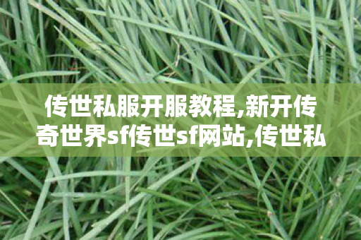 传世私服开服教程,新开传奇世界sf传世sf网站,传世私服发布网刚开一秒,新开传奇世界sf传世sf网站