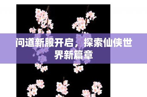 问道新服开启，探索仙侠世界新篇章