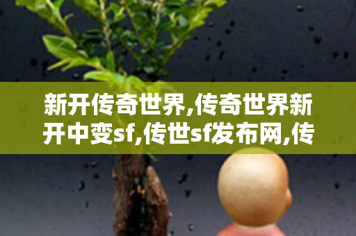 新开传奇世界,传奇世界新开中变sf,传世sf发布网,传奇世界新开中变sf