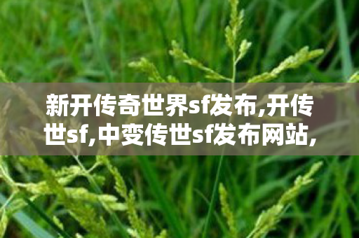 新开传奇世界sf发布,开传世sf,中变传世sf发布网站,开传世sf
