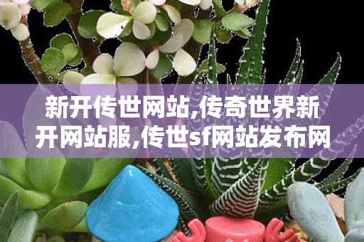 新开传世网站,传奇世界新开网站服,传世sf网站发布网,传奇世界新开网站服