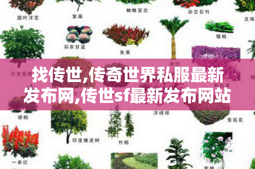 找传世,传奇世界私服最新发布网,传世sf最新发布网站,传奇世界私服最新发布网