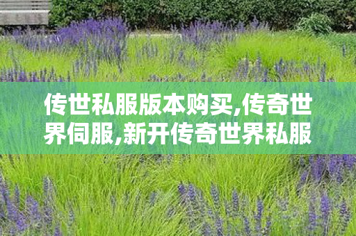 传世私服版本购买,传奇世界伺服,新开传奇世界私服,传奇世界伺服