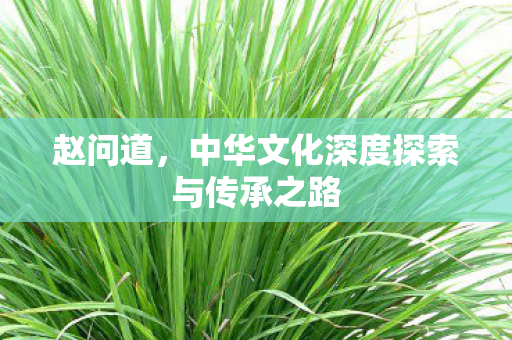 赵问道，中华文化深度探索与传承之路