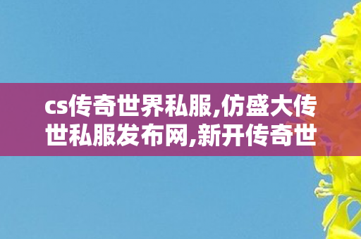 cs传奇世界私服,仿盛大传世私服发布网,新开传奇世界sf网站,仿盛大传世私服发布网
