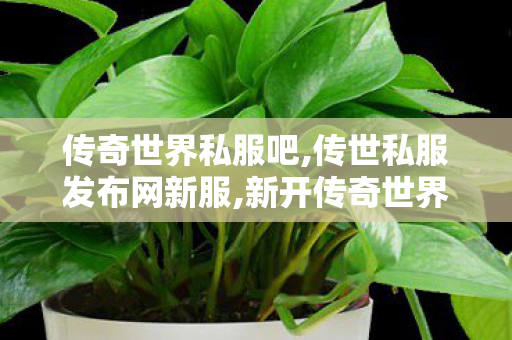 传奇世界私服吧,传世私服发布网新服,新开传奇世界私服发布网,传世私服发布网新服