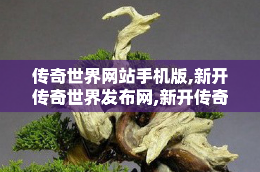 传奇世界网站手机版,新开传奇世界发布网,新开传奇世界sf发布网站,新开传奇世界发布网