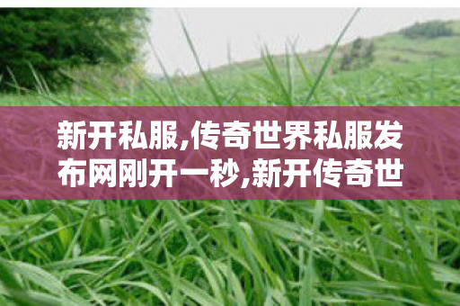 新开私服,传奇世界私服发布网刚开一秒,新开传奇世界私服网,传奇世界私服发布网刚开一秒