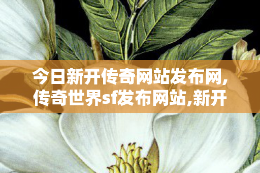 今日新开传奇网站发布网,传奇世界sf发布网站,新开传奇世界私服sf,传奇世界sf发布网站