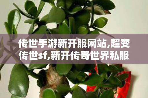 传世手游新开服网站,超变传世sf,新开传奇世界私服中变,超变传世sf