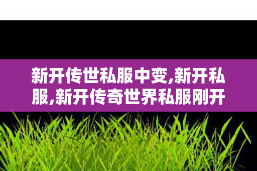 新开传世私服中变,新开私服,新开传奇世界私服刚开一秒,新开私服