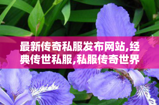 最新传奇私服发布网站,经典传世私服,私服传奇世界,经典传世私服