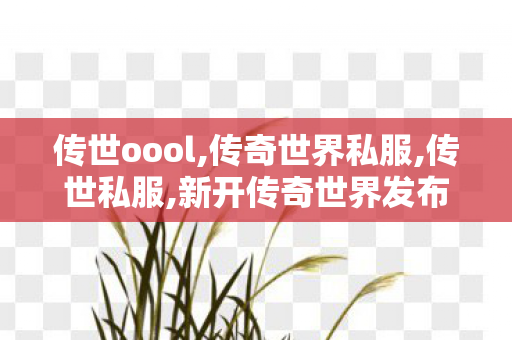 传世oool,传奇世界私服,传世私服,新开传奇世界发布网,传奇世界私服,传世私服