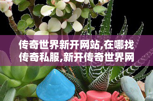 传奇世界新开网站,在哪找传奇私服,新开传奇世界网站发布网,在哪找传奇私服