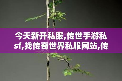 今天新开私服,传世手游私sf,找传奇世界私服网站,传世手游私sf