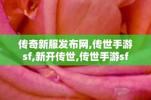 传奇新服发布网,传世手游sf,新开传世,传世手游sf
