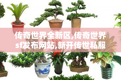 传奇世界全新区,传奇世界sf发布网站,新开传世私服,传奇世界sf发布网站
