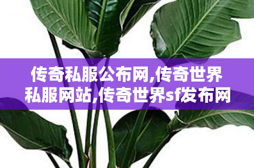 传奇私服公布网,传奇世界私服网站,传奇世界sf发布网站,传奇世界私服网站
