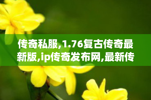 传奇私服,1.76复古传奇最新版,ip传奇发布网,最新传世sf,ip传奇发布网